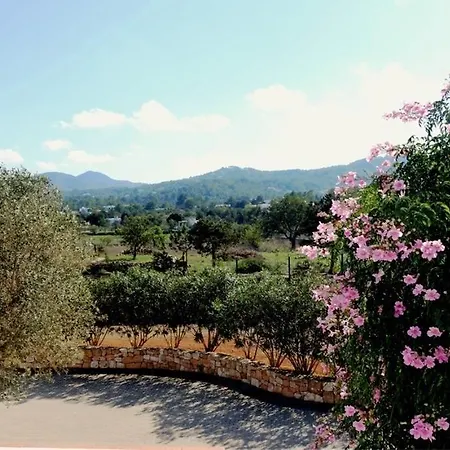 Bellissima San Antonio (Ibiza)